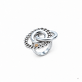 All of Me Ring in Silver